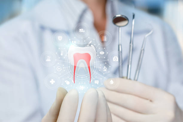 Best Dental Exams and Cleanings  in Troy, MO